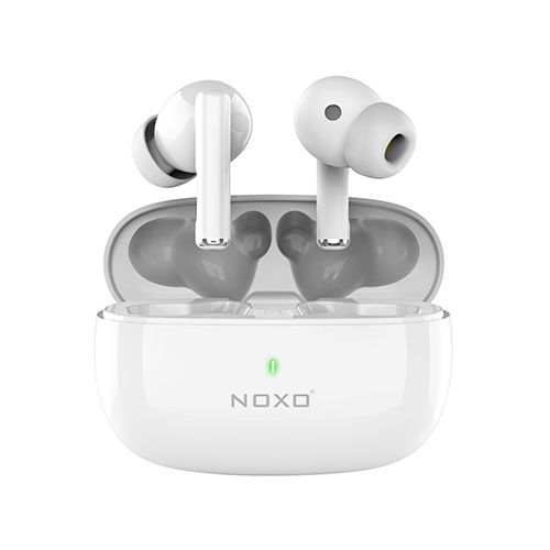 TN-1 ENC True Wireless Earbuds